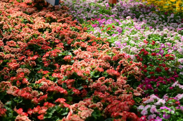 Location meublée : comment éviter les impayés ?